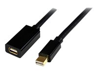 StarTech.com Cable de 1,8m Extensor Alargador Mini DisplayPort 1.2 Macho a Mini DisplayPort Hembra - 4k - cable alargador de DisplayPort - 1.8 m